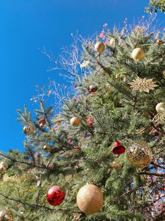 クリスマス3.jpeg